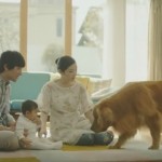 日本Amazon黃金獵犬跟小Baby廣告超有洋蔥！