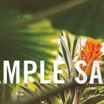 Herschel Supply Co Sample Sale 來啦!(5/3-6) Herschel Supply Co Sample Sale 來啦!(5/3-6)
