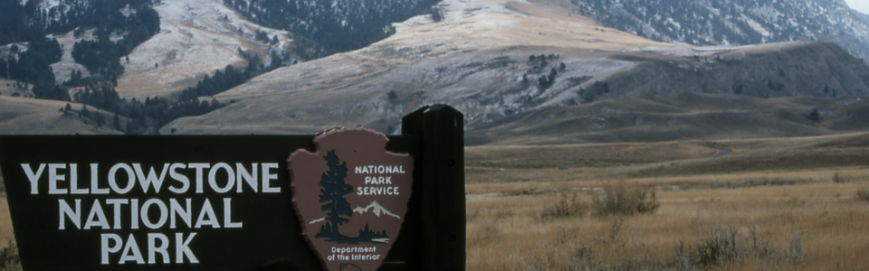 黃石國家公園因安全考量而關閉部分道路🚧 黃石國家公園因安全考量而關閉部分道路🚧