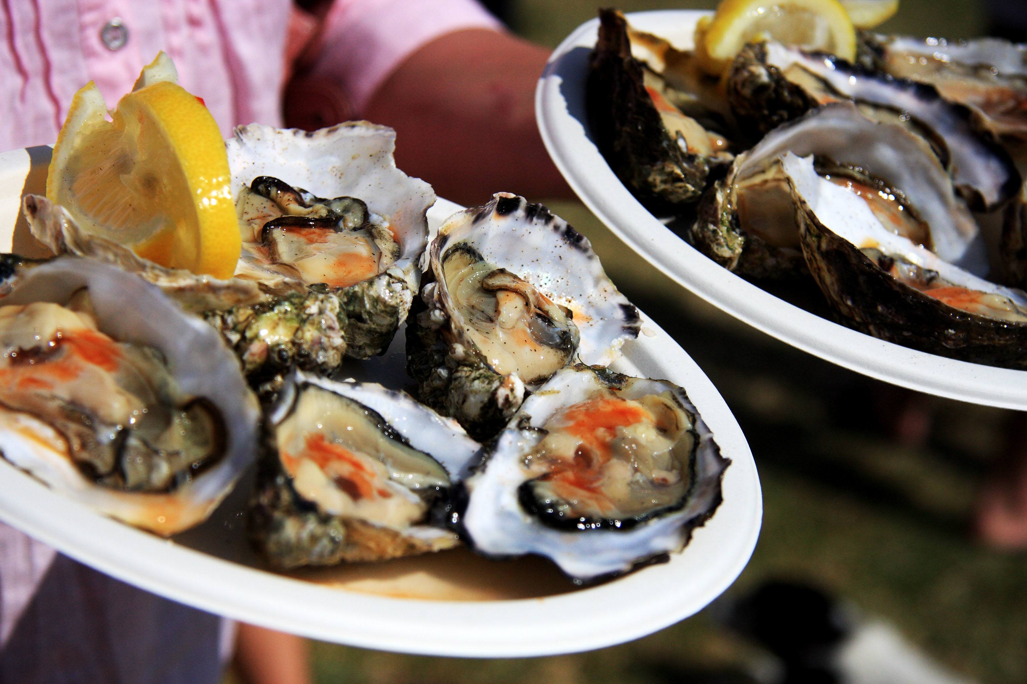 a landscape photo of two trays of dressed oysters at rock oyster