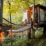 夢想清單多一項！Airbnb上全球最受歡迎的房間是這間夢幻樹屋！