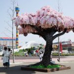 破紀錄! 猜猜這棵櫻花樹用了多少個樂高積木完成?