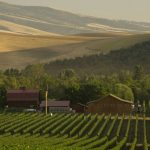 全美十大最佳葡萄酒產區排行榜公佈！