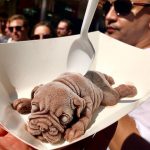 你捨得吃嗎？台灣超逼真「狗狗冰淇淋」在紐約也能吃到