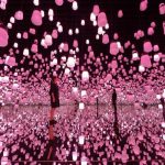 [影] 櫻花季限定！teamLab「呼應燈森林」變身粉紅色超浪漫