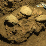 印尼7000年前女性遺骸 揭示前所未知人類族群
