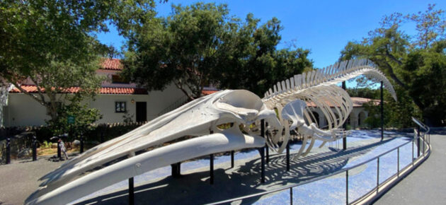 【 哇靠 Funlicius 】體驗大自然的進化魅力  遊覽加州 Santa Barbara 自然歷史博物館