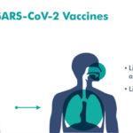 COVID-19 疫情未歇 世衛：鼻噴疫苗盼成抗疫利器
