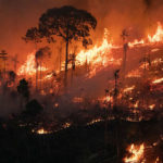 巴西亞馬遜森林告急 2022前9個月林火多於2021全年