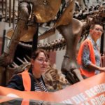 德國環保人士黏在恐龍骨架下抗議 巴黎奧塞博物館也傳畫作遇襲[影]