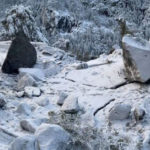 Yosemite 國家公園入口岩石滑坡事故致2人死亡