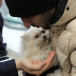 土耳其人愛貓 強震後營救照片受關注爆紅[影]