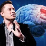 Elon Musk 旗下大腦晶片公司獲美 FDA 批准 將展開人體試驗