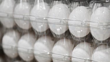 Costco銷售的有機雞蛋緊急召回🥚並列入最高風險等級?!