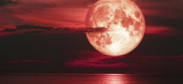 今年的「草莓月圓」之夜即將佈滿天空囉🍓