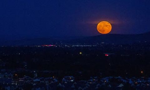 錯過了草莓滿月嗎？下一次將在什麼時候出現呢🌑