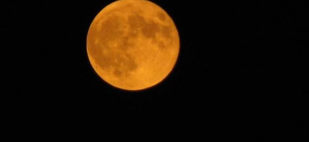 豐收月今晚升起🌕欣賞 2025 年第一輪Supermoon點亮十月的夜空🌟