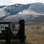 黃石國家公園因安全考量而關閉部分道路🚧