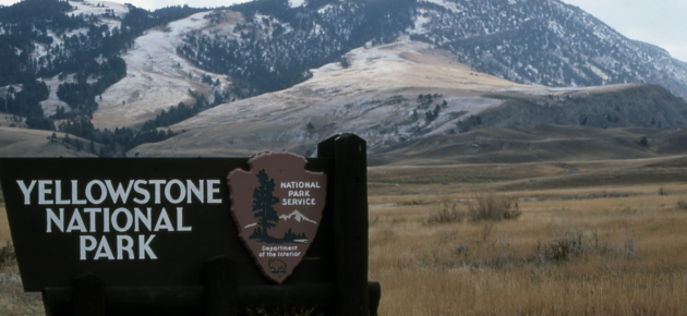 黃石國家公園因安全考量而關閉部分道路🚧